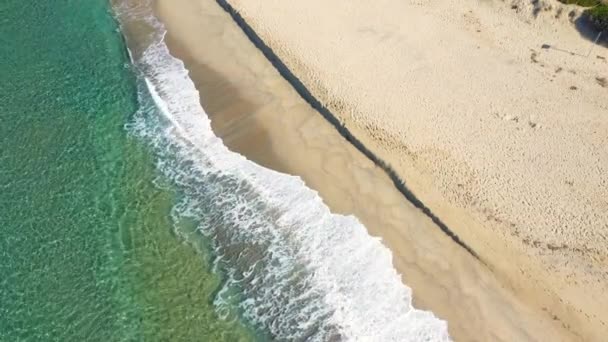 Wellen Brechen Sandstrand Tyrrhenischen Meer Europa Italien Kampanien Sommer Einem — Stockvideo