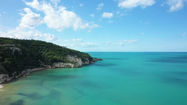 Turquoise Adriatische Zee Het Groene Landschap Europa Italië Puglia Richting — Stockvideo