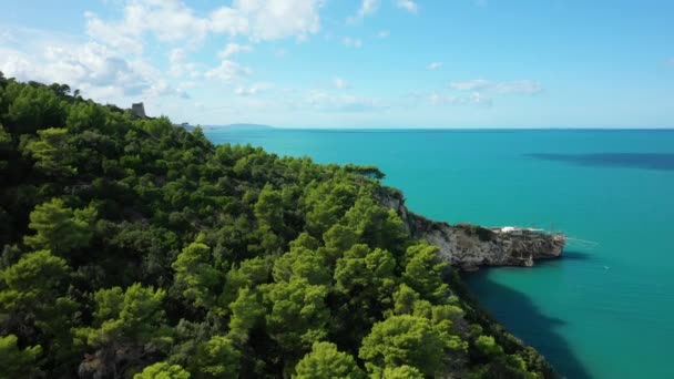 Het Groene Landschap Aan Adriatische Zee Europa Italië Puglia Richting — Stockvideo