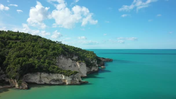 在阳光灿烂的日子里 意大利 普利亚 亚得里亚海中的岩石和绿色悬崖峭壁正对着福吉亚 — 图库视频影像
