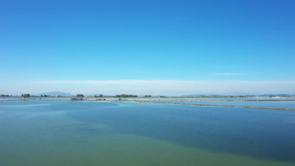 Salt Marshes Missolonghi Facing Mediterranean Sea Europe Central Greece Summer — Stockvideo