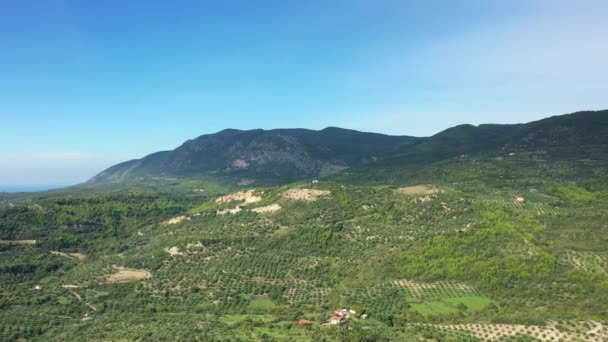 Hermoso Campo Verde Griego Europa Grecia Peloponeso Verano Día Soleado — Vídeos de Stock