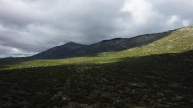 Peloponese kırsalında Avrupa, Yunanistan, Moreloponnese, Arcadia yazın güneşli bir günde.