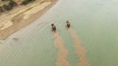 Fecamp Limanı, yazın güneşli bir günde Avrupa, Fransa, Normandiya, Seine Denizcilik tebeşir kayalıklarıyla çevrilidir..