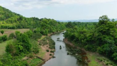 Güneşli bir günde, Asya 'da tropikal bitki örtüsünün ortasındaki Nam Theun nehri, Laos, Khammouane, Thakek' e doğru..