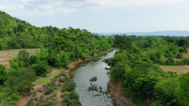 Les Arbres Tropicaux Luxuriants Autour Nam Theun Asie Laos Khammouane — Video