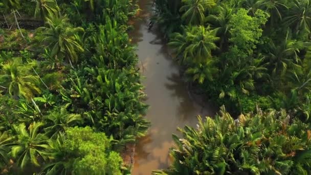 Řeka Teče Deštným Pralesem Asii Vietnamu Deltě Mekongu Směrem Minovu — Stock video