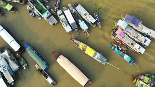 Asya Tien Sahili Nde Dalgalar Vietnam Mekong Deltası Chi Minh — Stok video