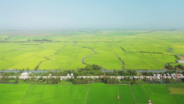 Een Kanaal Scheidt Vietnam Cambodja Een Groen Landschap Azië Tussen — Stockvideo