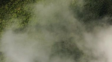 Yazın güneşli bir günde Banaue 'ye doğru yeşil ormanlar, Asya, Filipinler, Ifugao, Luzon üzerindeki bulutlar..