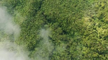 Yazın güneşli bir günde Banaue 'ye doğru yeşil ormanlar, Asya, Filipinler, Ifugao, Luzon üzerindeki bulutlar..