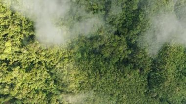 Yazın güneşli bir günde Banaue 'ye doğru yeşil ormanlar, Asya, Filipinler, Ifugao, Luzon üzerindeki bulutlar..