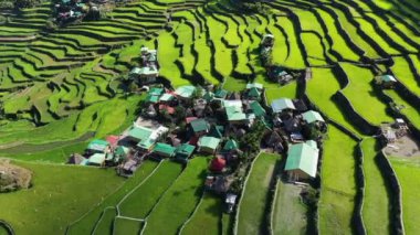 Yeşil UNESCO, güneşli bir yaz gününde Banaue 'ye doğru Batad, Asya, Filipinler, Ifugao, Luzon pirinç tarlalarını terasa çıkardı..