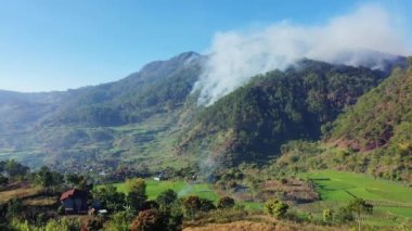 Yeşil pirinç tarlaları ve ateş ormanlarının ortasında, Asya 'da, Filipinler' de, Ifugao 'da, Luzon' da, Banaue 'ye doğru, Bontoc ve Sagada' da, güneşli bir günde,.