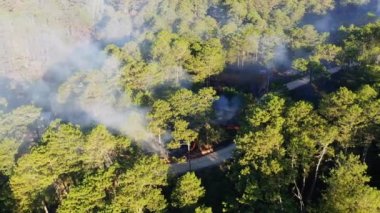 Yeşil pirinç tarlaları ve ateş ormanlarının ortasında, Asya 'da, Filipinler' de, Ifugao 'da, Luzon' da, Banaue 'ye doğru, Bontoc ve Sagada' da, güneşli bir günde,.