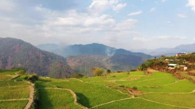 Dağların ortasındaki yeşil pirinç terasları, Asya, Filipinler, Ifugao, Luzon, Banaue, Bontoc ve Sagada 'ya doğru, güneşli bir günde.