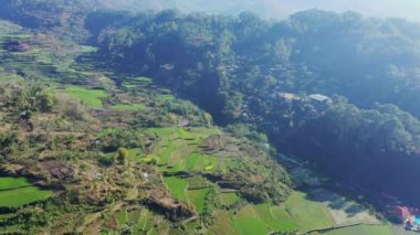 Dağların ortasındaki yeşil pirinç terasları, Asya, Filipinler, Ifugao, Luzon, Banaue, Bontoc ve Sagada 'ya doğru, güneşli bir günde.