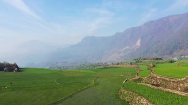 Dağların ortasındaki yeşil pirinç terasları, Asya, Filipinler, Ifugao, Luzon, Banaue, Bontoc ve Sagada 'ya doğru, güneşli bir günde.