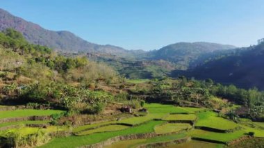 Dağların ortasındaki yeşil pirinç terasları, Asya, Filipinler, Ifugao, Luzon, Banaue, Bontoc ve Sagada 'ya doğru, güneşli bir günde.