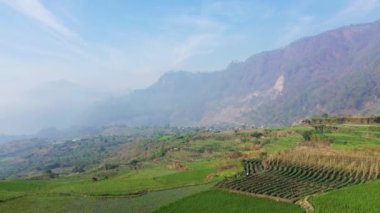 Dağların ortasındaki yeşil pirinç terasları, Asya, Filipinler, Ifugao, Luzon, Banaue, Bontoc ve Sagada 'ya doğru, güneşli bir günde.