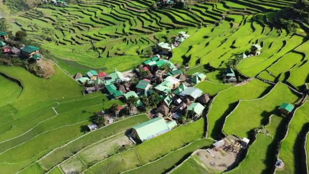 Rijstvelden Omgeven Door Groene Bergen Azië Filippijnen Ifugao Luzon Richting — Stockvideo
