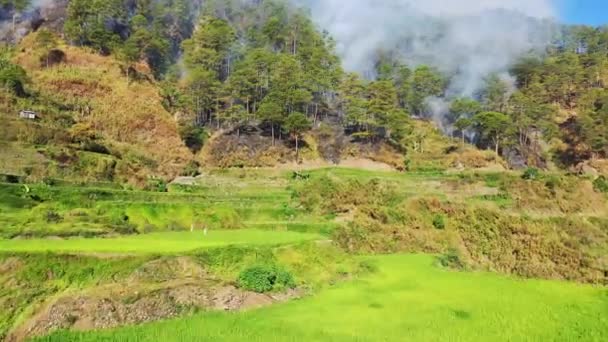 夏天阳光明媚的日子里 森林中央 菲律宾 伊富高 吕宋的绿色稻田和大火向巴瑙 邦托克和萨加达方向发展 — 图库视频影像