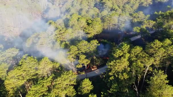 Risaie Verdi Gli Incendi Mezzo Alle Foreste Asia Nelle Filippine — Video Stock