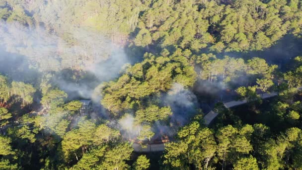 Πράσινες Ορυζώνες Και Πυρκαγιές Στη Μέση Των Δασών Στην Ασία — Αρχείο Βίντεο