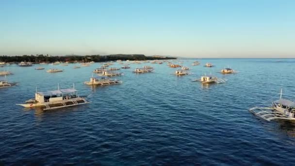 Båtar Förtöjda Vid Stranden Asien Filippinerna Bohol Island Panglao Sommaren — Stockvideo