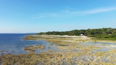 Adanın kıyısında ve yeşil ormanlarında, Asya 'da, Filipinler' de, Bohol adasında, yazın güneşli bir günde, Panglao 'ya doğru.
