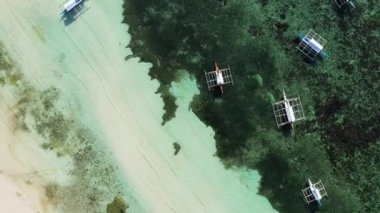 Güneşli bir yaz günü, Panglao yakınlarında, Asya, Filipinler, Bohol Adası ve kumlu plajın kıyısına demirleyen kayıklar ve yeşil palmiye ağaçları..