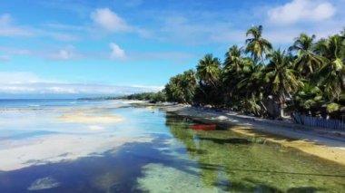 Kumsalda bir tekne ve yeşil palmiye ağaçları, Asya, Filipinler, Bohol Adası, güneşli bir yaz gününde Panglao 'ya doğru.