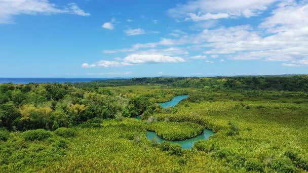 Річка Посеред Мангрових Лісів Сільській Місцевості Азія Філіппіни Острів Бохол — стокове відео