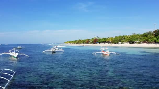 砂浜と緑のヤシの木の端に係留ボート アジア フィリピン ボホール島 パングラオ近く 夏に晴れた日に — ストック動画