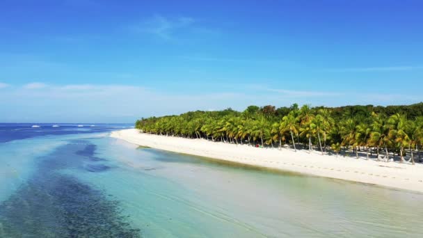 Човни Пришвартувалися Краю Піщаного Пляжу Зелених Пальм Азії Філіппін Острові — стокове відео