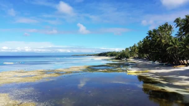 Siquijor Sziget Homokos Strandjaival Zöld Pálmafáival Ázsia Fülöp Szigetek Bohol — Stock videók