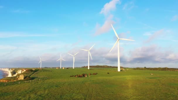 Turbine Eoliene Deasupra Orașului Fecamp Deasupra Stâncilor Europa Franța Normandia — Videoclip de stoc