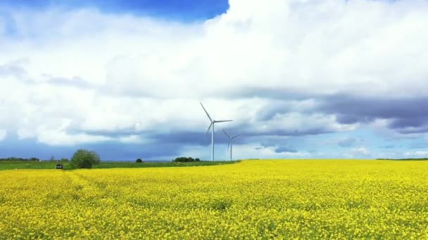 Turbinas Eólicas Meio Campo Com Seus Campos Colza Cevada Europa — Vídeo de Stock