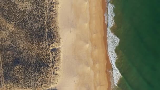 Das Meer Und Der Sandstrand Meer Der Algarve Europa Portugal — Stockvideo