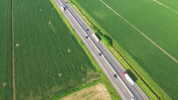 Camion Auto Viaggiano Sulle Autostrade Tra Vigneti Campi Orzo Europa — Video Stock