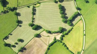 Kırsalın ortasındaki keten ve arpa tarlaları ve yeşil ormanlar, Avrupa 'da, Fransa' da, Burgundy 'de, Nievre' de, Nevers 'e doğru, yazın, güneşli bir günde.