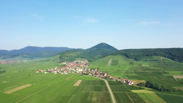 Ville Saint Hippolyte Milieu Des Vignes Pied Des Montagnes Verdoyantes — Video