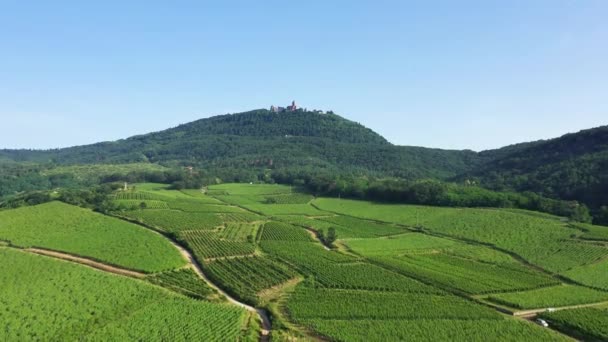Green Alsatian Vineyards Foot Mountains Forests Europe France Alsace Bas — Stock Video