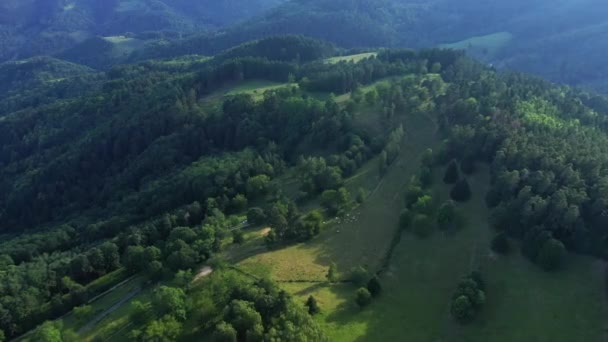 Les Forêts Dessus Des Montagnes Vertes Europe France Alsace Dans — Video