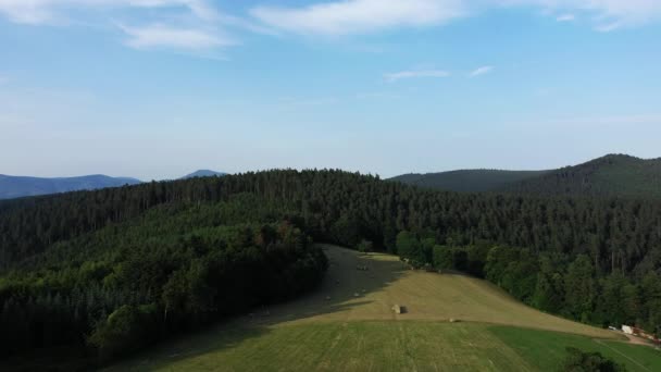 Les Forêts Dessus Des Montagnes Vertes Europe France Alsace Dans — Video