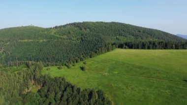 Avrupa 'da, Fransa' da, Alsace 'de, Bas Rhin' de, yaz aylarında, güneşli bir günde, orman ve dağların arasındaki yeşil Alsas kırsalında,.