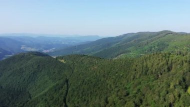 Avrupa 'da, Fransa' da, Alsace 'de, Bas Rhin' de, yaz aylarında, güneşli bir günde, orman ve dağların arasındaki yeşil Alsas kırsalında,.