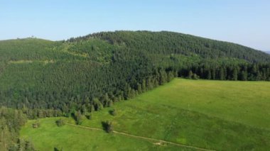 Avrupa 'da, Fransa' da, Alsace 'de, Bas Rhin' de, yaz aylarında, güneşli bir günde, orman ve dağların arasındaki yeşil Alsas kırsalında,.