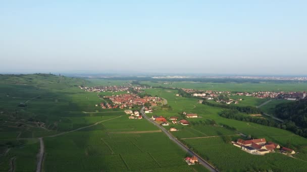 Ville Kaysersberg Milieu Des Vignes Pied Des Montagnes Vertes Europe — Video