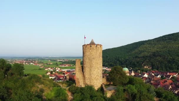 City Kaysersberg Middle Vineyards Foot Green Mountains Europe France Alsace — Stock Video